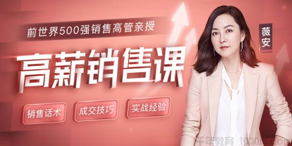 薇安《高薪销售课》前世界500强销售高管