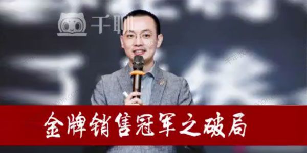 金牌销售冠军之破局