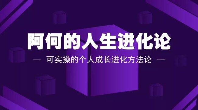 阿何的人生进化论 可实操的个人成长进化方法论