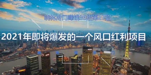 晓林冷门 赚钱36招第27招 2021年即将爆发的一个风口红利项目