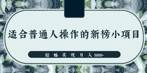 一个适合普通人操作的赚钱项目 新手轻松实现月入5000+