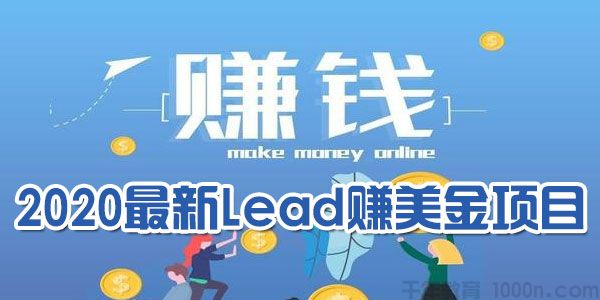 最新lead国外网赚项目2.0，在家日赚500刀美金