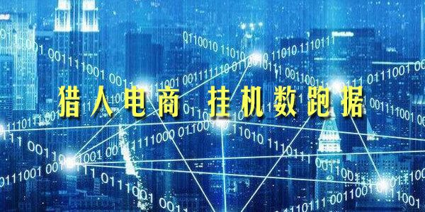 猎人电商 挂机数跑据一部手机月盈利10万+（内玩部法）