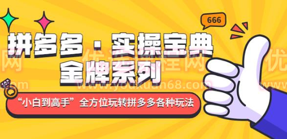 拼多多·实操宝典：金牌系列“小白到高手”带你全方位玩转拼多多各种玩法