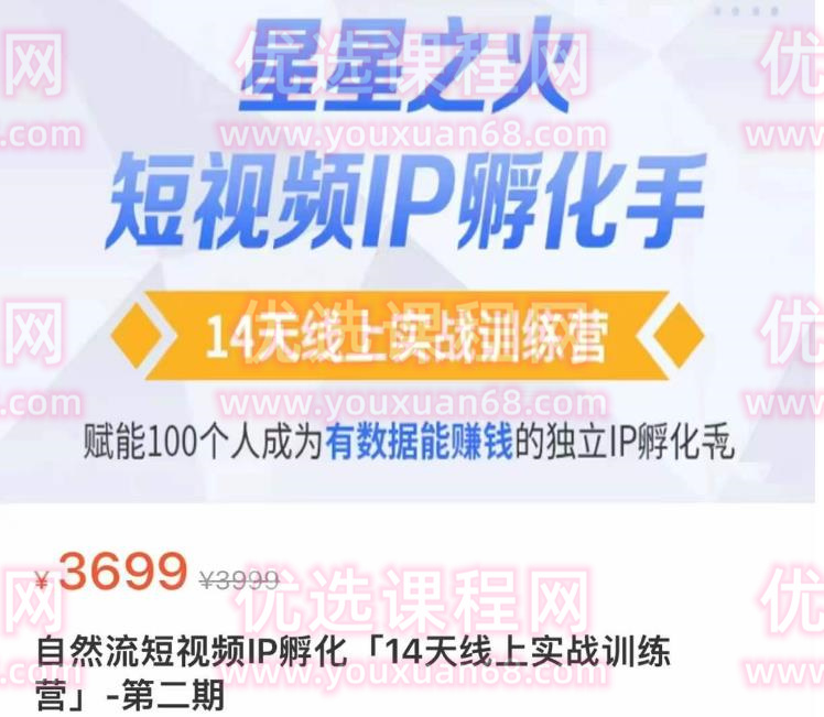 瑶瑶·自然流短视频IP孵化第二期，14天线上实战训练营，赋能100个人成为有数据能赚钱的独立IP孵化手