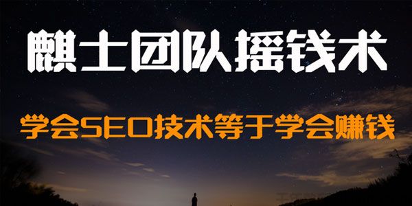 麒士团队摇钱术12：学会SEO技术等于学会赚钱