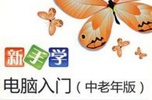新手学上网教程，电脑入门中老年版