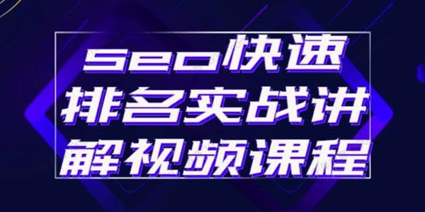 SEO快速排名实战讲解视频课程 揭秘SEO快排原理