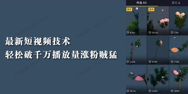 树段短视频技术 轻松破千万播放量[价值1888]