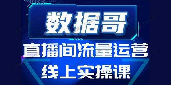 数据哥《直播间流量运营线上实操课》