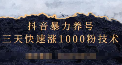抖音暴力养号，三天快速涨1000粉技术【视频课程】