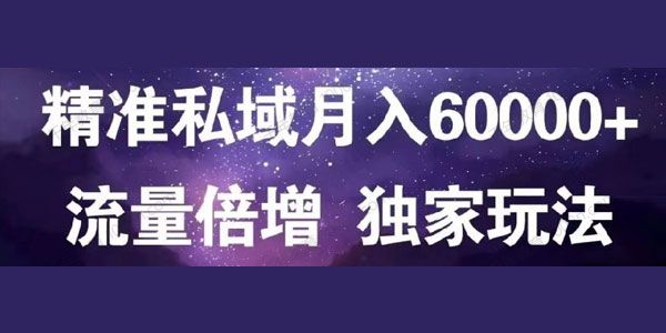 精准私域月入6万 流量倍增独家玩法
