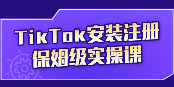 疯人院《TikTok安装注册保姆级实操课》
