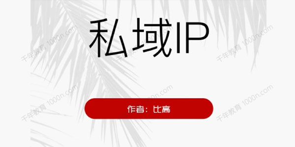 比高《私域IP引流变现》