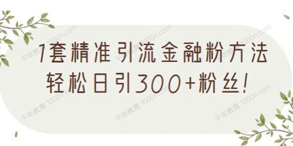 1套精准引流金融粉方法 轻松日引300+粉丝