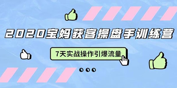 宝妈获客操盘手训练营：7天实战引爆宝妈粉流量