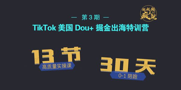 疯人院 TikTok Dou+掘金特训营（第三期）