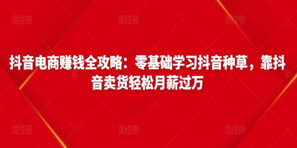 抖音电商赚钱全攻略：零基础学习抖音种草卖货