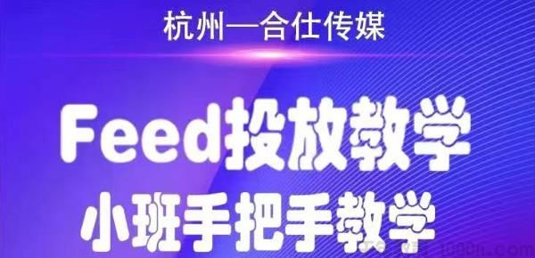 合仕传媒《Feed投放教学》小班手把手教学