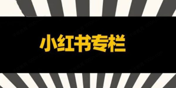 品牌医生 小红书全链营销干货