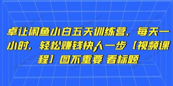 卓让《闲鱼小白五天训练营》轻松赚钱快人一步