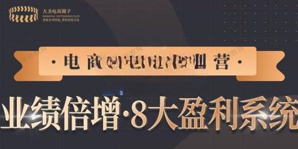 大圣《电商TOP特训营》业绩倍增八大盈利系统