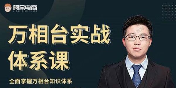 阿呆电商《万相台实战体系课》全面掌握万相台知识体系
