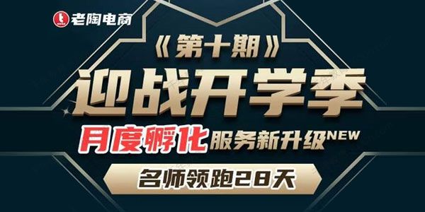 老陶电商《拼多多名师线上领跑28天》第10期