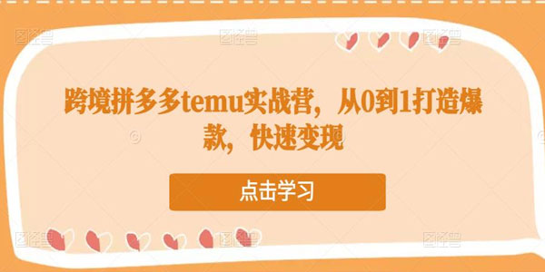 跨境拼多多temu实战营 从0到1打造爆款