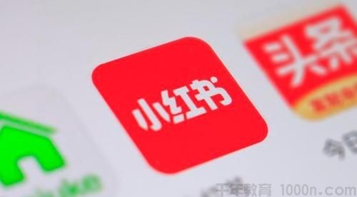 2021年小红书策划运营方案与报告