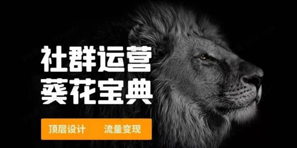 赚钱社群系统运营葵花宝典