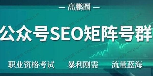 高鹏圈《公众号SEO矩阵号群》实操20天纯收益2W+