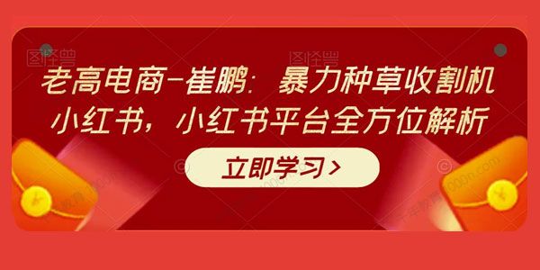 老高电商崔鹏《暴力种草收割机小红书》全方位解析