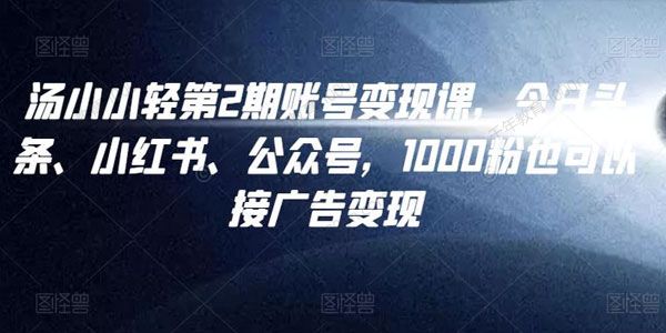汤小小自媒体账号变现课第2期 1000粉也可接广告