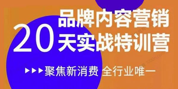 《内容营销实操特训营》20天让你营销能力脱胎换骨