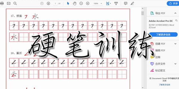 成人儿童控笔训练 硬笔训练（视频字帖）