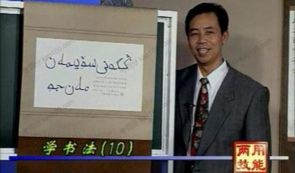 庞中华硬笔书法视频教学十集