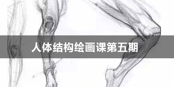 大木画画《2022人体结构绘画课第五期》 .