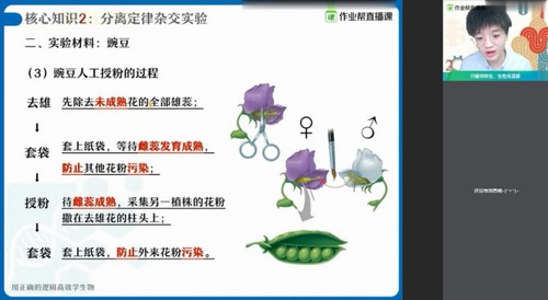 作业帮-邓康尧 高一生物 2021春季尖端班