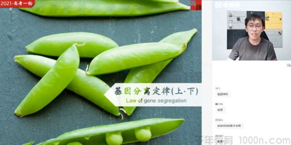 张鹏-猿辅导 高三备考2021 生物秋季班