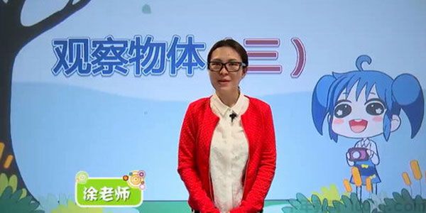 涂熹恺-233网校 人教版小学五年级数学下册