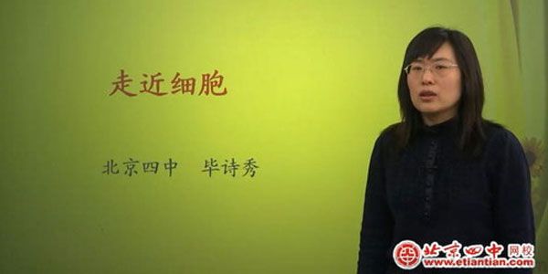 毕诗秀-北京四中网校 高一生物