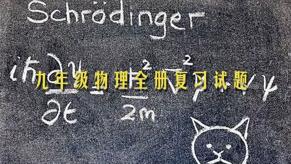 九年级物理全册 新人教专题复习试题