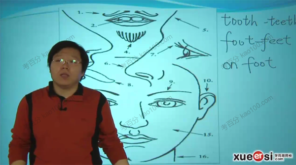 刘飞飞 初一英语必学300单词高频考点