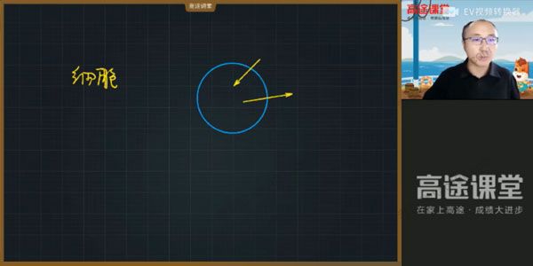 张继光 高二生物2021年暑假班