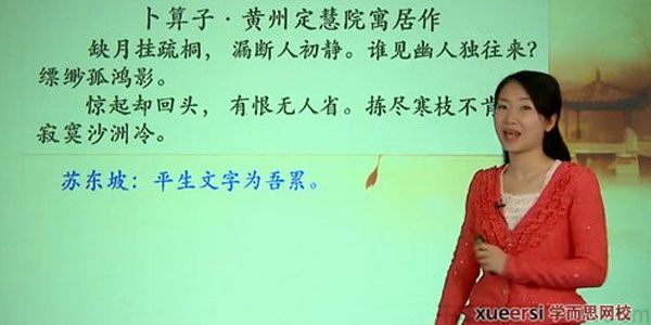 大语文学堂系列 穿越时空对话：苏轼来了