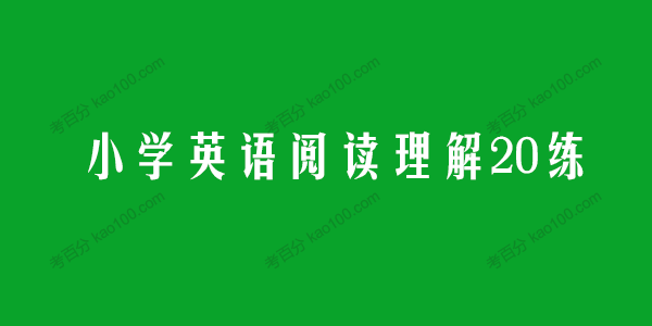 学而思希望学 小学英语阅读理解20练电子文档