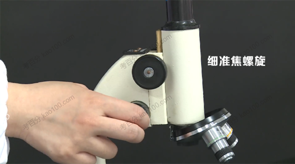 初一生物实验探究人教版七年级上