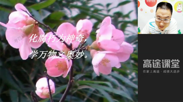 赵雪清 高一化学同步辅导2019年秋季提高班