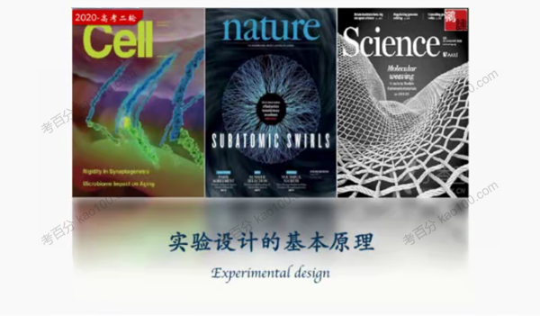 张鹏 高考生物二轮2020年寒假班